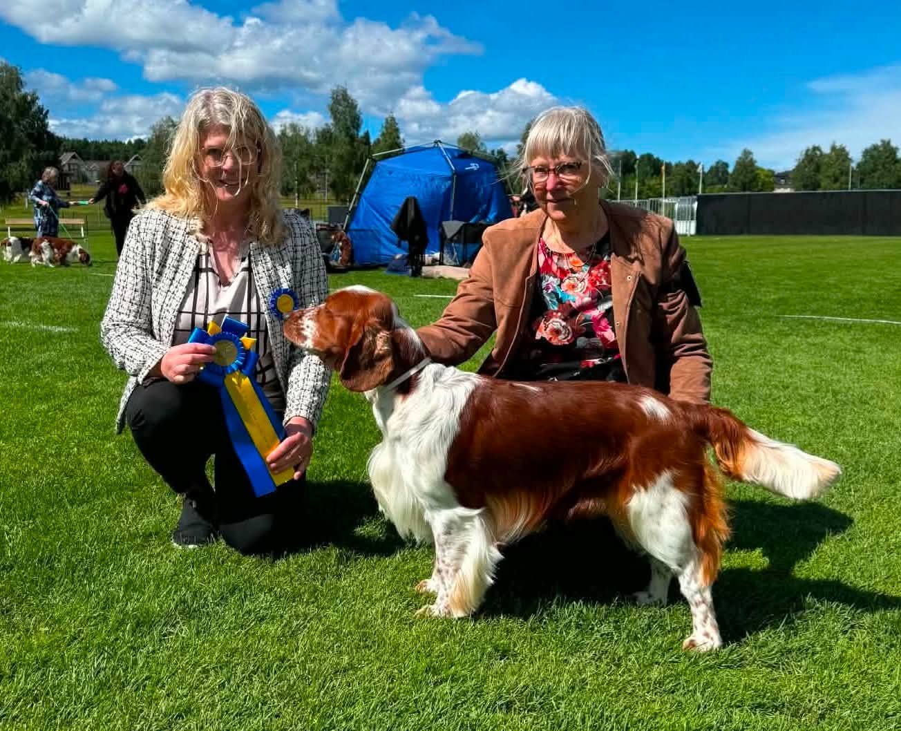 Ozzy med rosetter efter utst&auml;llningen i Sunne